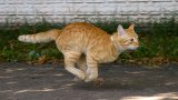 Кои са? Вижте в галерията: