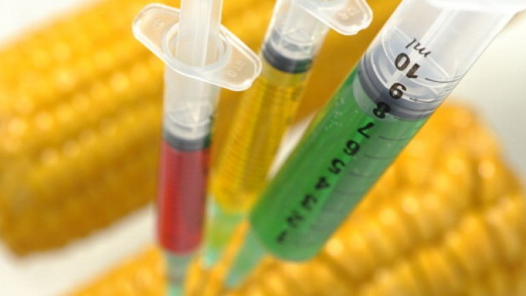 Общо 15 страни от ЕС са поискали забрана на разпространението на ГМО-продукти