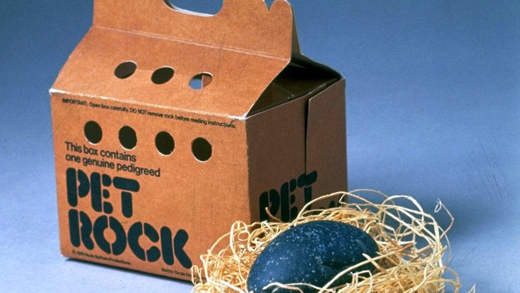 Product shot of Pet Rock, fad from mid-1