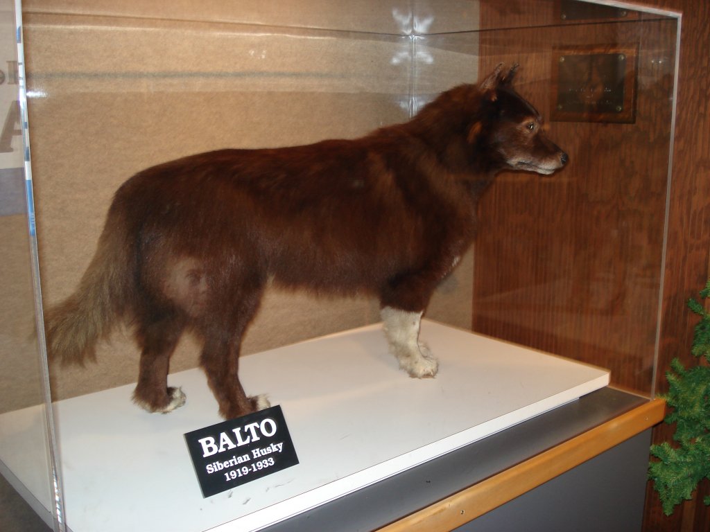 Balto_CLE