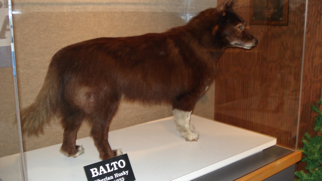 Balto_CLE