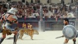 Открити са следи от ухапване от дивата котка по скелет