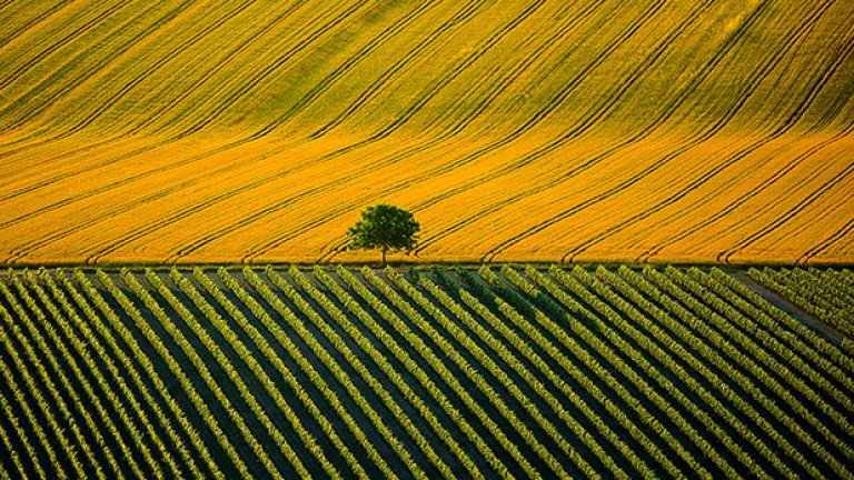 Пейзаж от Cognac, Charente, Франция