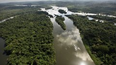 Политиката на Бразилия да неглижира проблема с Амазония доведе до действия от Норвегия и Германия