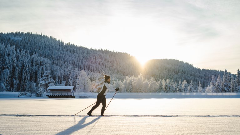 Любимо норвежко занимание.
