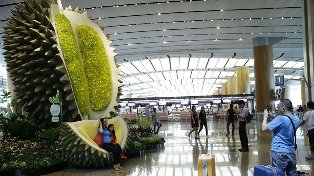 Changi Airport-durian-topiary-data