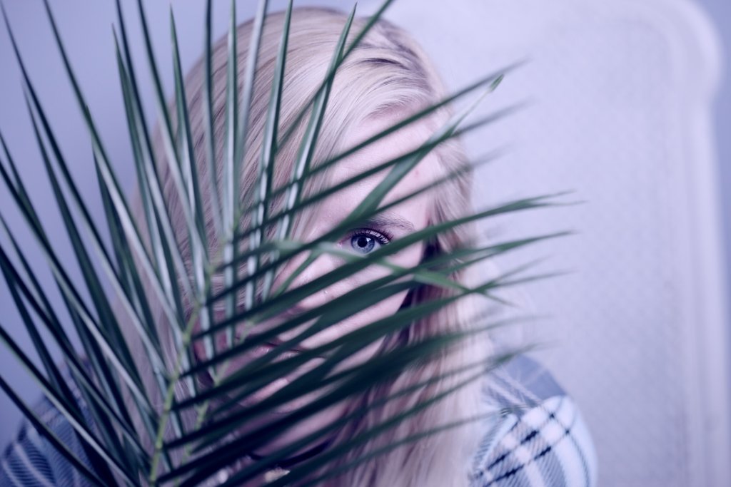 alexander-grey-JYdssCgZgCY-unsplash