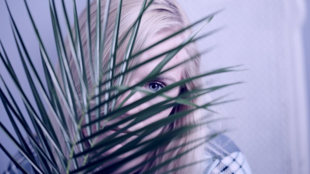 alexander-grey-JYdssCgZgCY-unsplash