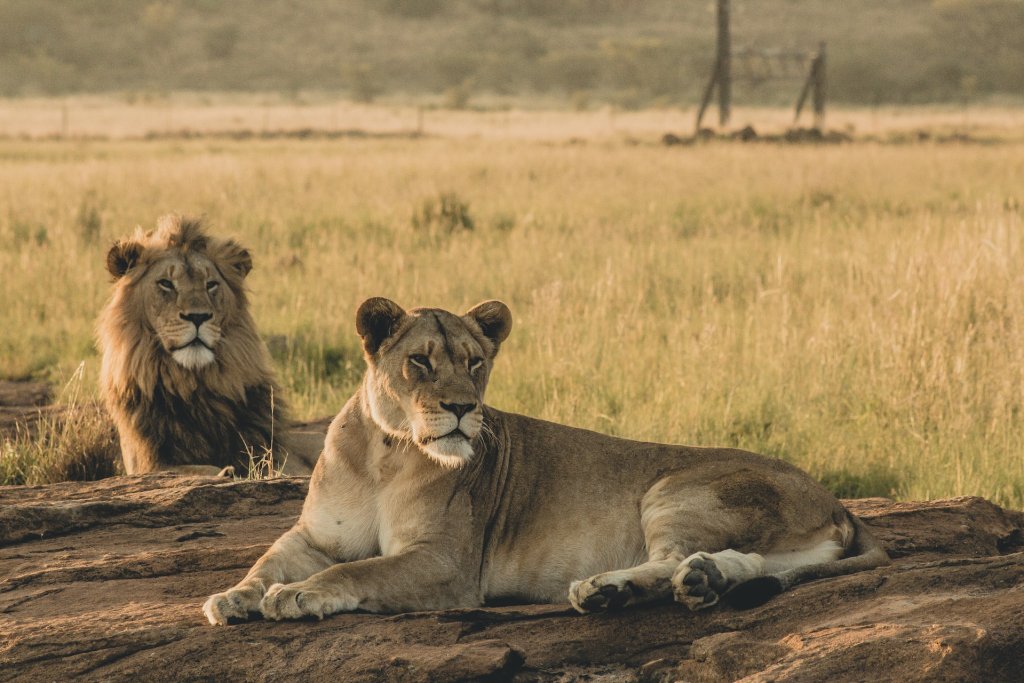 wade-lambert-MakK4ysHZf8-unsplash