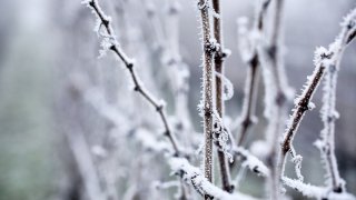Януари започва с температури до 17 градуса, а в средата на месеца се очаква да стигнат до -10