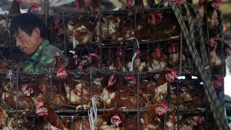 Това е 57-годишна продавачка на месо на пазара за животни в Ухан