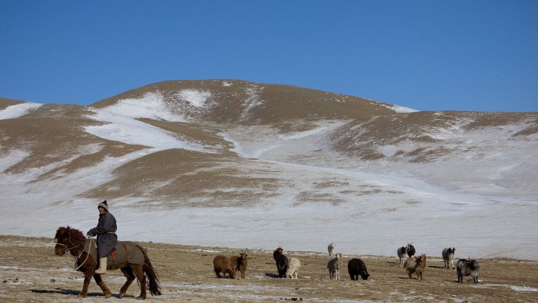Номадският живот все още е обичаен за Монголия.