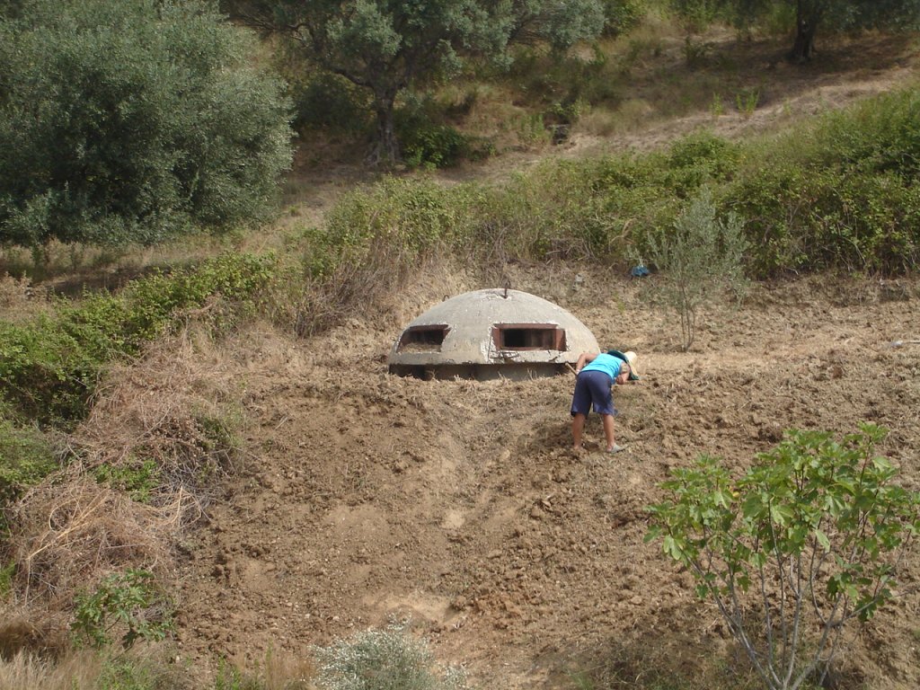 Bunkerkopae