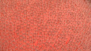 768px-Drinking_straws_2_2018-10-16