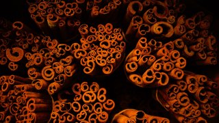 aditya-joshi-RZc6cbHg56U-unsplash