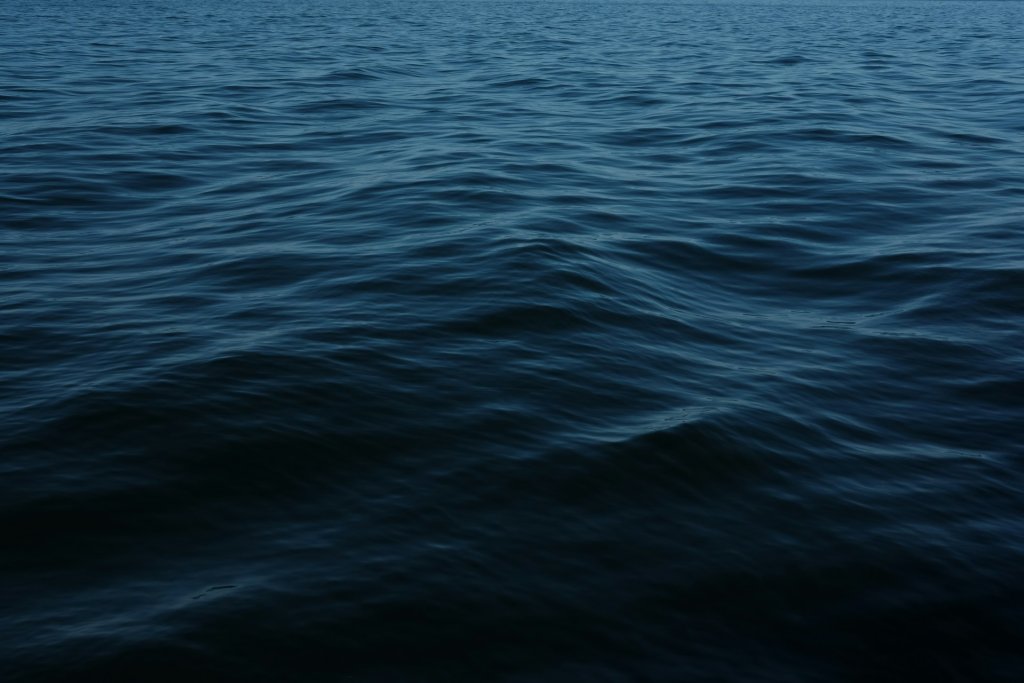 conor-sexton-hRemch0ZDwI-unsplash