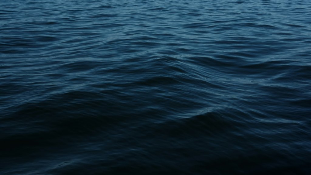 conor-sexton-hRemch0ZDwI-unsplash