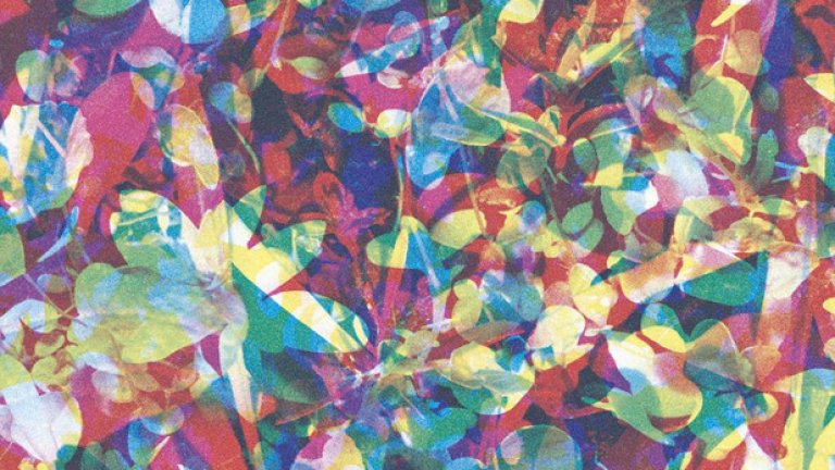 Caribou - Our Love
Годината беше интересна и за почитателите на електронната музика, а Дан Снейт, известен в момента с псевдонима Caribou, издаде един от най-силните албуми в жанра. Още когато твореше под името Manitoba, канадецът се специализира в т.нар. IDM – интелигентна денс музика. А с четвъртия си албум като Caribou показа за пореден път колко топли и нежни могат да бъдат компютърните звуци и дигиталните мелодии, когато ги създава точният човек.