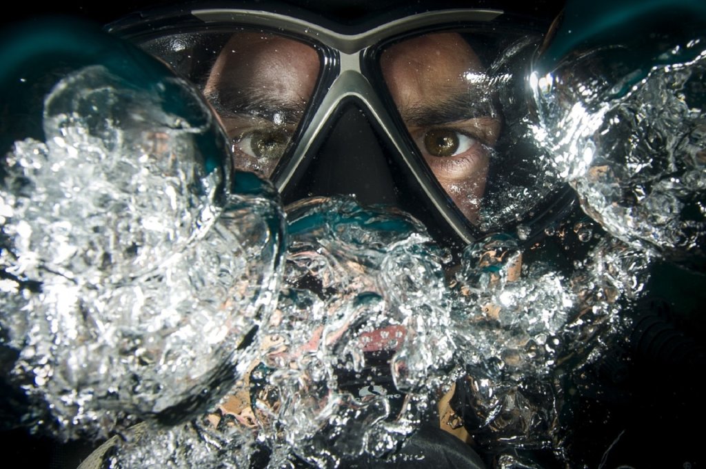 diver-scuba-underwater-ocean-37545
