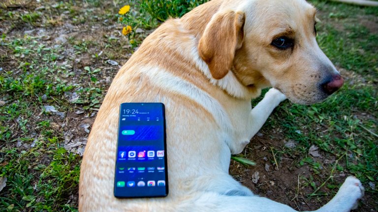 Ако през лятото на караваната ти е важно да можеш да снимаш много, има и още нещо, което може да оцениш - голямата батерия, която се зарежда бързо. 4200 mAh батерия, която е добре оптимизирана и спокойно може да ме издържи от сутрин до вечер, независимо колко я мъча, а ако го давам по-лежерно няма нужда да й обръщам внимание и по два дни.