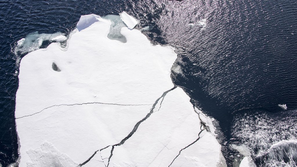 NORTH_POLE_Ice_(19626661335)