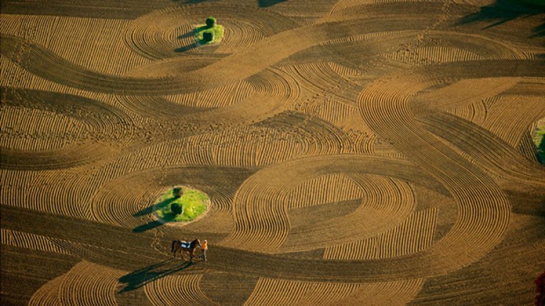 Ако не искате да сте тук и сега