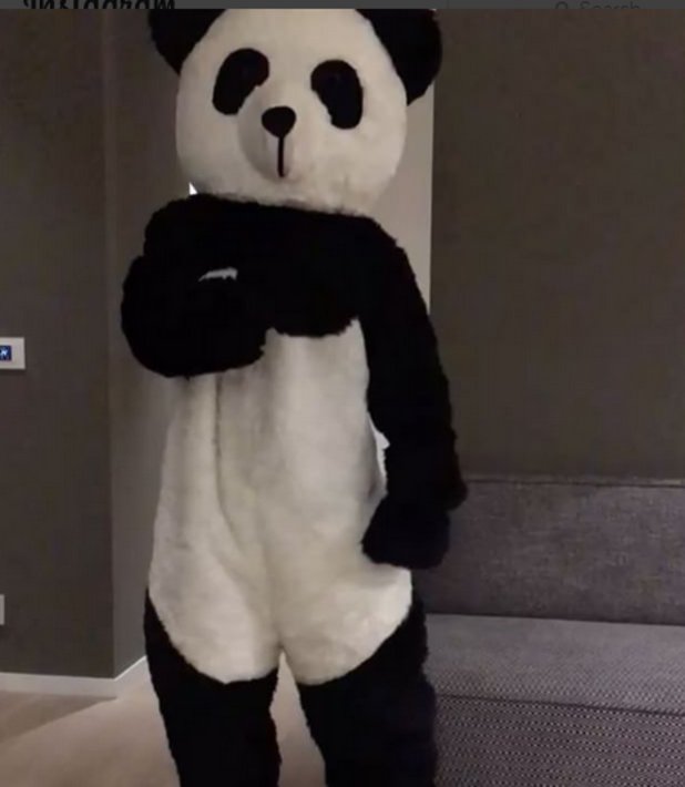 Той се облича като панда, което е един от символите на равенството и толерантността в интернет
