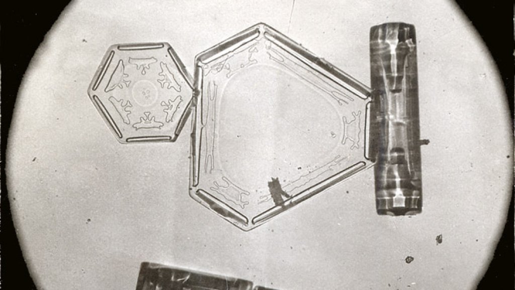 Bentley_snowflake_micrograph_no._777