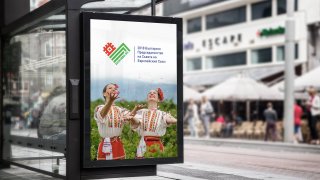 Pasted image at 2017_01_17 07_08 PM