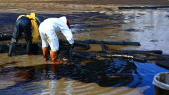 Екоекспертите са категорични, че последиците е можело да бъдат далеч по-малки