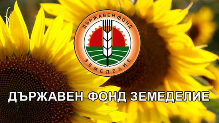 За забавени документи призна новият  изпълнителен директор на фонда пред БНР