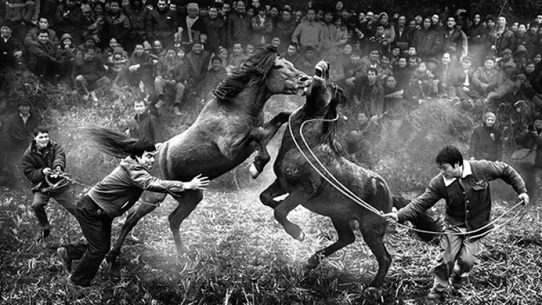 China National Award: "Horse fighting in Rongshui", от Нгай-бун Вонг