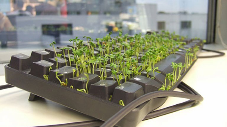 С малко търпение може да оборудвате някой колега с такава еко клавиатура