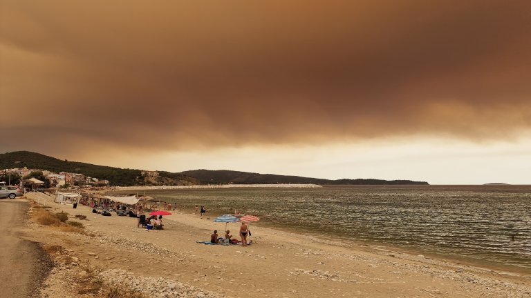 Горските пожари са нещо често в Гърция и туристите ще помагат да възстановяването.