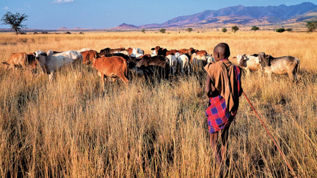 tanzania