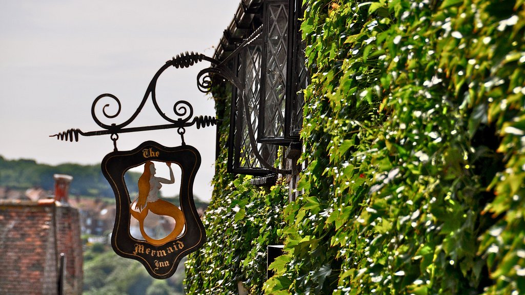The_Mermaid_Inn1