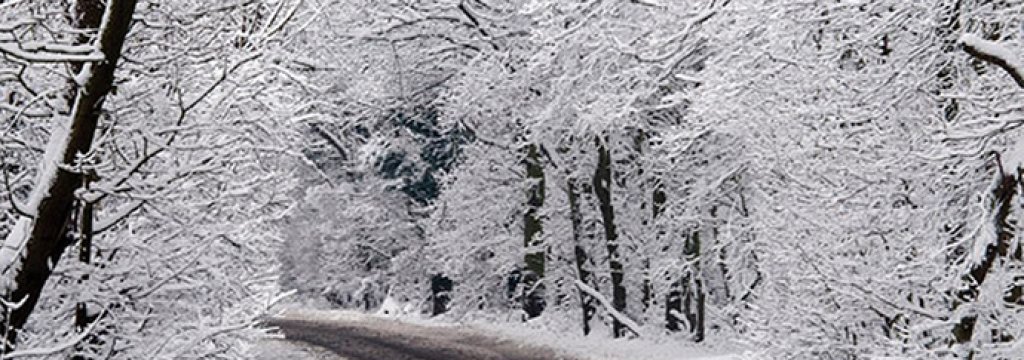snow-2