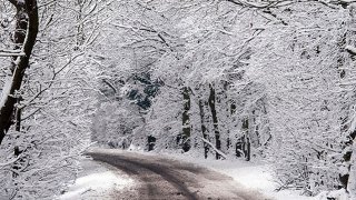 snow-2