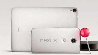 nexus