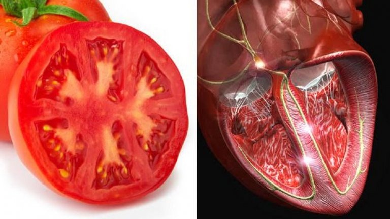 Домат: СърцеПри­лича на сърце повече от всеки друг плод и зелен­чук. Има четири камери и е чер­вен на цвят, точно както сър­цето е чер­вено и с четири камери. Изс­лед­ва­ни­ята пот­вър­ж­да­ват, че дома­тите са заре­дени с лико­пен и наис­тина спо­мага за здра­вето на сър­цето. Кон­су­ма­ци­ята на лико­пен нама­лява риска от сър­дечно-съдови забо­ля­ва­ния. Дома­тите са чуде­сен източ­ник и на вита­мин С, който е от реша­ващо зна­че­ние за здра­вето на сър­цето. Други храни, полезни за сър­цето са: йогурт, ста­фиди, боб, ябълки, ядки като леш­ници, орехи, шам фъс­тък, ябълки и черен шоко­лад.

