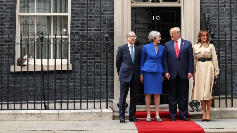 Лари харесва червения килим.