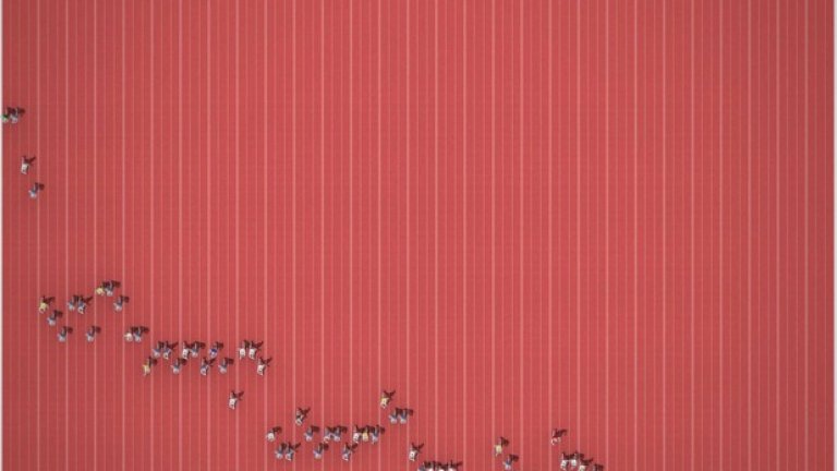 "NY Times" разработи мащабен журналистически проект, в който постави на една писта всички медалисти през последните 120 години.
Коридорите са 88, а бегачите "замръзват" на местата си в момента, в който е достигнато най-доброто постижение.