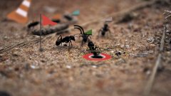 Видео: Животът на мравките като видеоигра