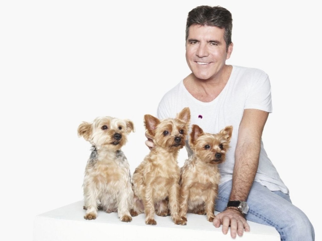 inspired-2015-11-simon-cowell-dogs-squiddly-diddly-freddie-main