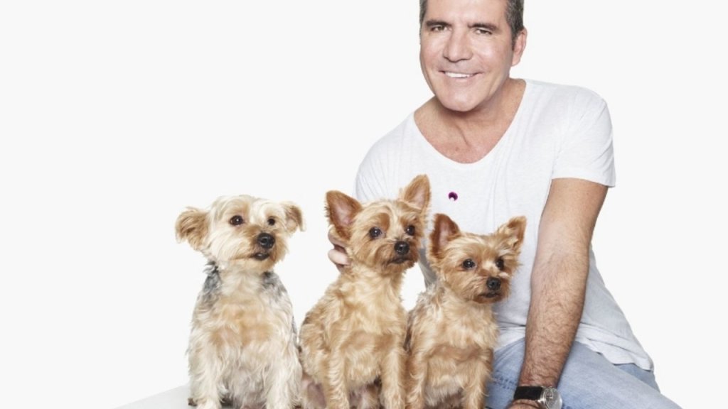 inspired-2015-11-simon-cowell-dogs-squiddly-diddly-freddie-main