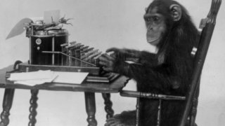 Chimpanzee_seated_at_typewriter