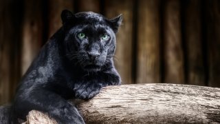 Ресторантьори и хотелиери припомнят, че летните месеци са най-силни за тях