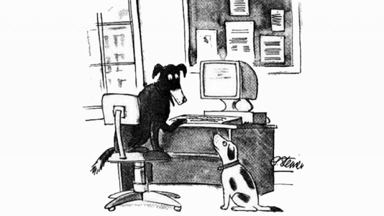 През 1993 г. "Ню Йоркър" пусна карикатура, изобразяваща две кучета пред компютър. Компетентното по въпросите на интернет четириного казва на приятеля си: "В интернет никой не знае, че си куче". Тази смешка отразява волната анонимност в ранните етапи на Мрежата, но вече не е в сила...