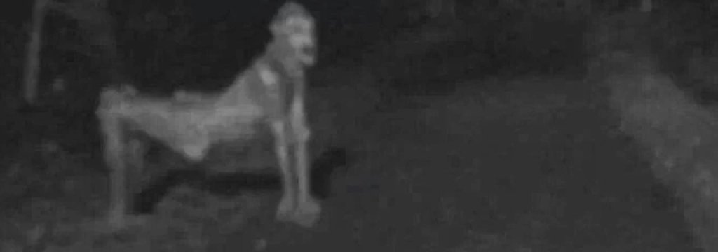 recent-nm-skinwalker-photo-ignites-fear_1519944055142_35587740_ver1.0