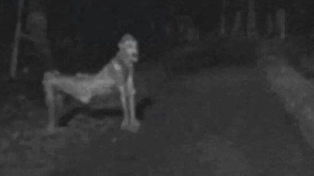 recent-nm-skinwalker-photo-ignites-fear_1519944055142_35587740_ver1.0